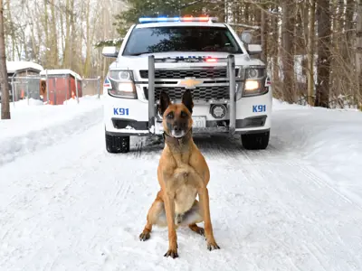 LPS K9 sitting in front of LPS SUV.  Snow all around.
